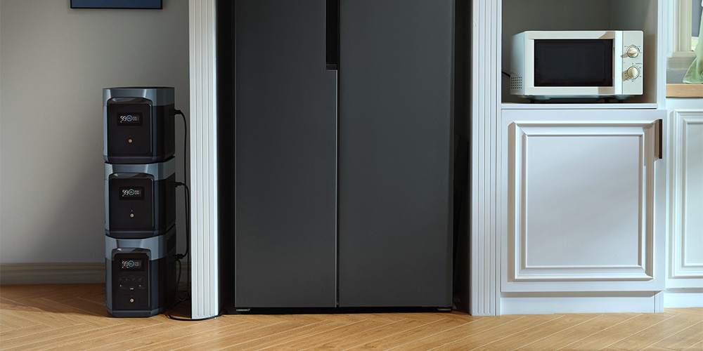 DELTA 2 Max Extra Battery fbfdf.jpg